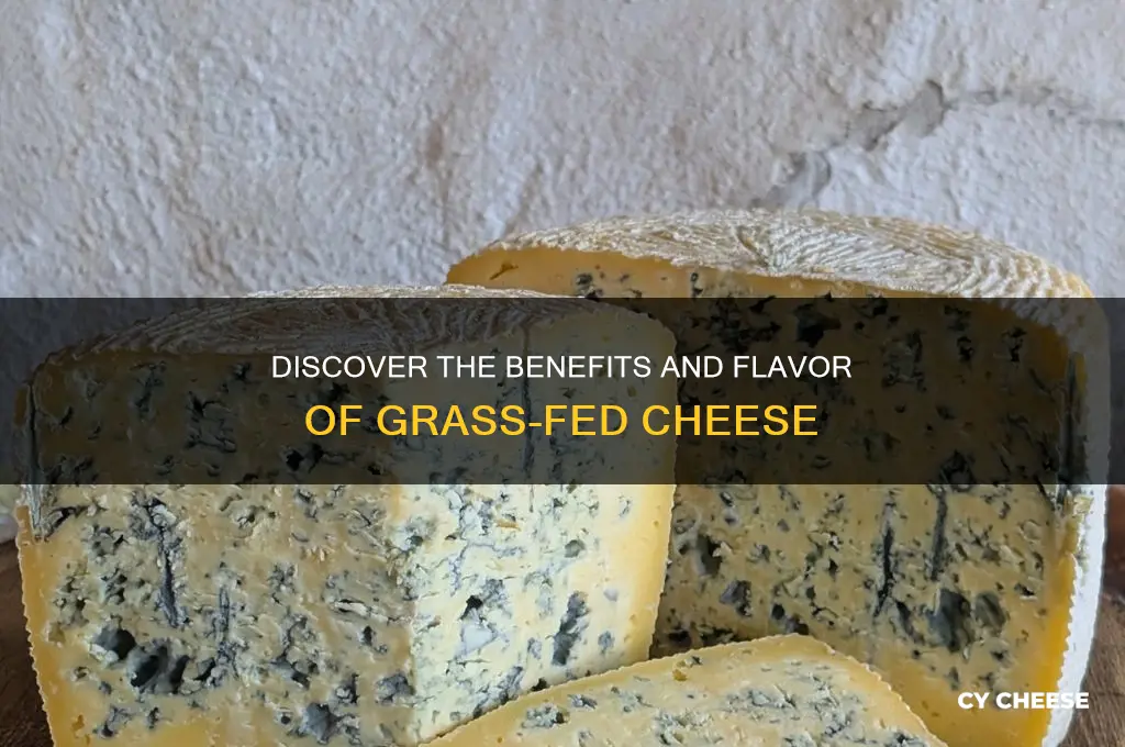 what is grass fed cheese