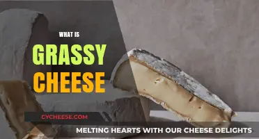 Exploring Grassy Cheese: Flavor, Origins, and Culinary Uses