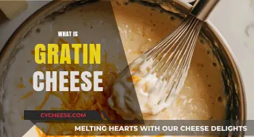 Discover the Creamy Delight: What is Gratin Cheese?