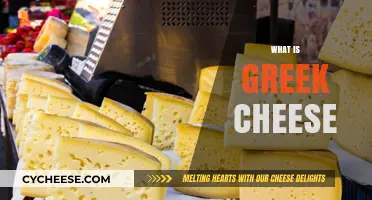 Exploring the Rich Flavors and Varieties of Traditional Greek Cheese