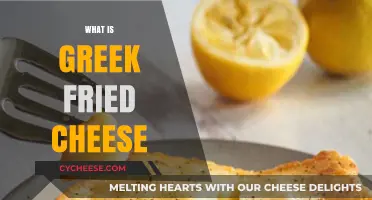 Discover the Crispy Delight: Greek Fried Cheese Explained