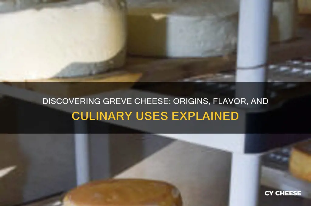 what is greve cheese