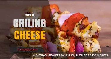 Mastering the Art of Grilling Cheese: Tips, Tricks, and Techniques