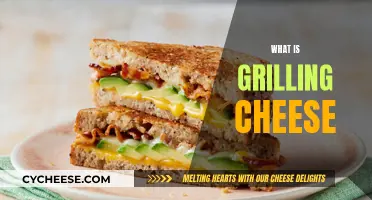 The Art of Grilling Cheese: A Beginner's Guide