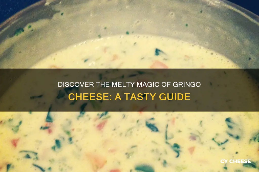 what is gringo cheese