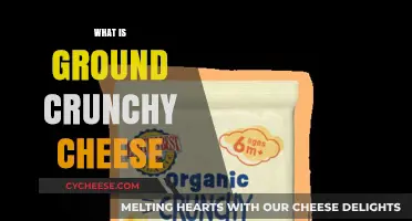 Discover the Delight of Ground Crunchy Cheese: A Tasty Guide