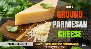 Parmesan Cheese: What's All the Grate About It?