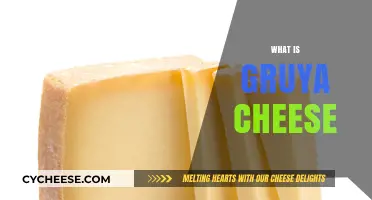 Gruyère Cheese: Origins, Flavor, Uses, and Pairing Tips Explained