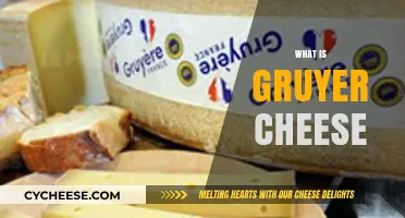 Gruyère Cheese: Origins, Flavor Profile, and Culinary Uses Explained
