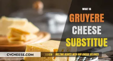 Discover the Best Gruyere Cheese Substitutes for Your Recipes