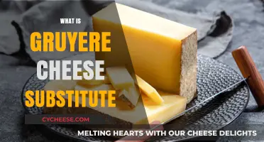 Gruyere Cheese Substitute: Top Alternatives for Melty, Nutty Flavor