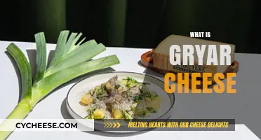 Discover Gryar Cheese: Origins, Flavor, and Culinary Uses Explained