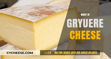 Exploring Gruyère Cheese: Origins, Flavor, Uses, and Pairing Tips