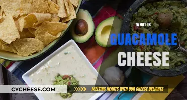 Discover Guacamole Cheese: A Creamy, Flavorful Twist on Tradition
