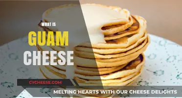 Discover the Unique Flavor and History of Guam Cheese