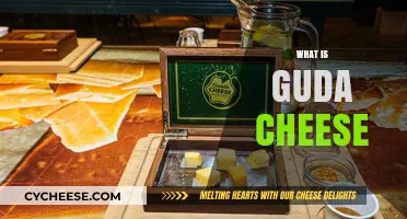 Discover the Rich Flavors and Origins of Guda Cheese