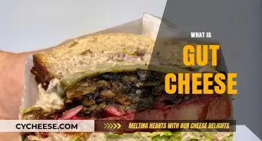 Exploring Gut Cheese: Origins, Flavor, and Culinary Uses