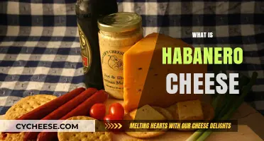 Exploring Habanero Cheese: Flavor, Uses, and Spicy Kick Explained