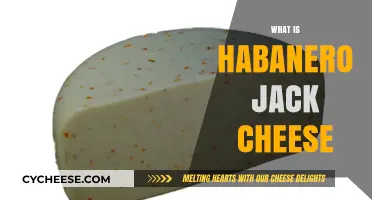 Discover the Spicy Kick of Habanero Jack Cheese: A Flavorful Guide