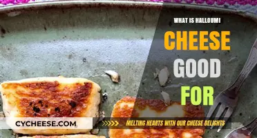 Discover Halloumi Cheese Benefits: Uses, Recipes, and Health Advantages
