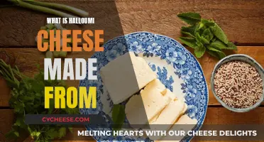 Halloumi Cheese: Crafted From Goat, Sheep Milk Blend