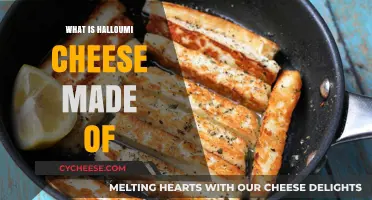 Halloumi's Secret: Unveiling the Cheese's Unique Composition