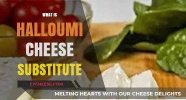 Discover the Best Halloumi Cheese Substitute for Your Recipes