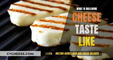 The Unique Taste of Halloumi Cheese