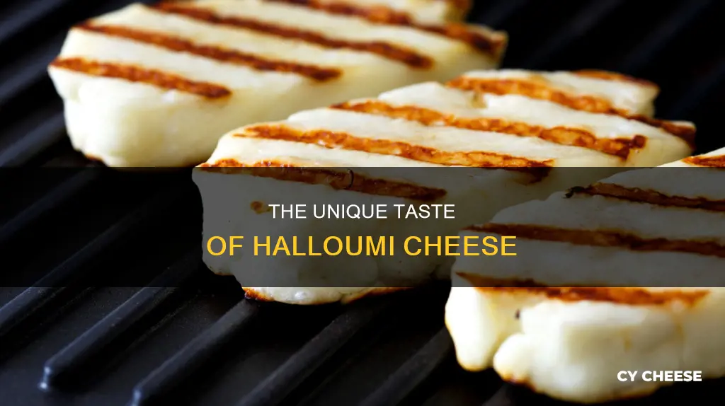 what is halloumi cheese taste like