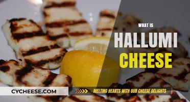 Discover Halloumi Cheese: Origins, Uses, and Unique Squeaky Texture