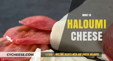 Discover Haloumi Cheese: Origins, Uses, and Unique Squeaky Texture