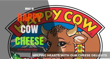 Discover the Creamy Delight of Happy Cow Cheese: A Guide