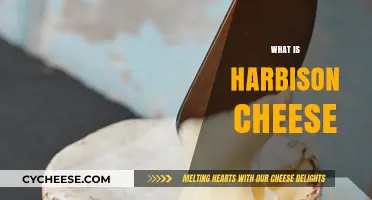 Discovering Harbison Cheese: A Creamy, Gooey Delight Explained