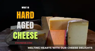Exploring Hard Aged Cheese: Flavor, Texture, and Aging Process