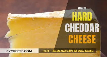 The Ultimate Guide to Hard Cheddar: Texture, Flavor, and More