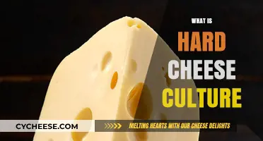 Exploring Hard Cheese Culture: Traditions, Techniques, and Timeless Flavors