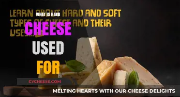 Hard Cheeses: Their Uses and Benefits