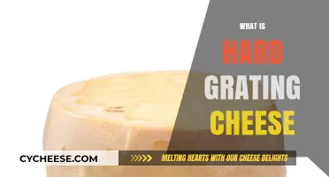 Discover the Secrets of Hard Grating Cheese: A Culinary Essential