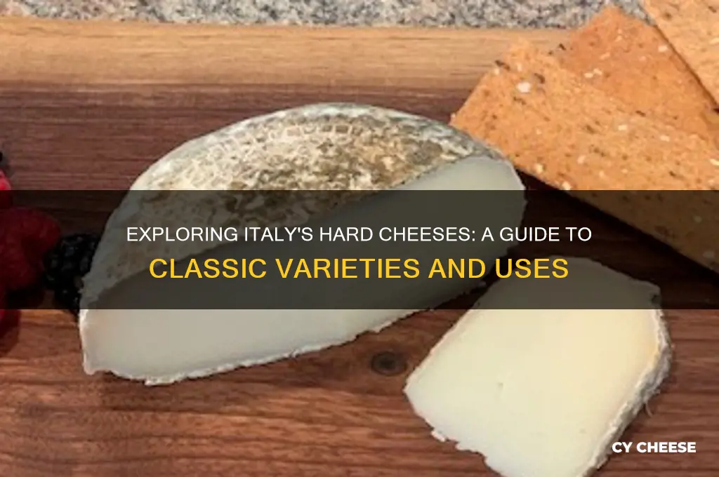 what is hard italian cheese