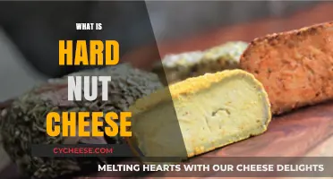 Discover Hard Nut Cheese: A Vegan, Dairy-Free Alternative Explained