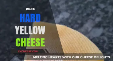 Exploring Hard Yellow Cheese: Types, Uses, and Flavor Profiles