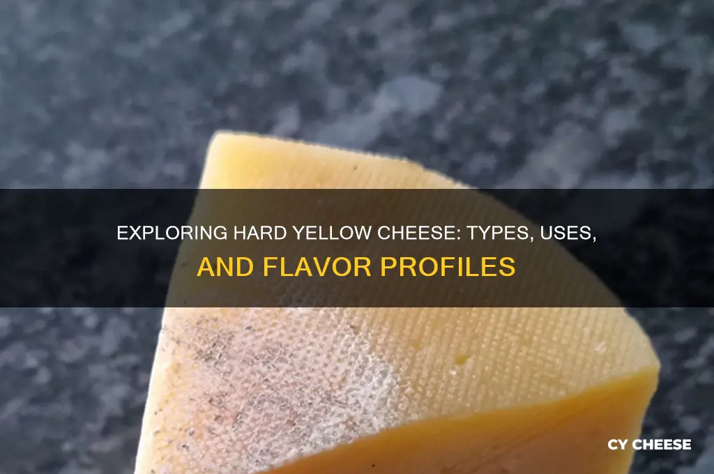 what is hard yellow cheese