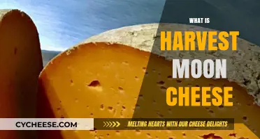 Harvest Moon Cheese: Unveiling the Magic of Autumn's Creamy Delight