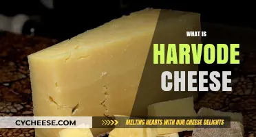 Discover the Rich Flavors and Origins of Harvode Cheese