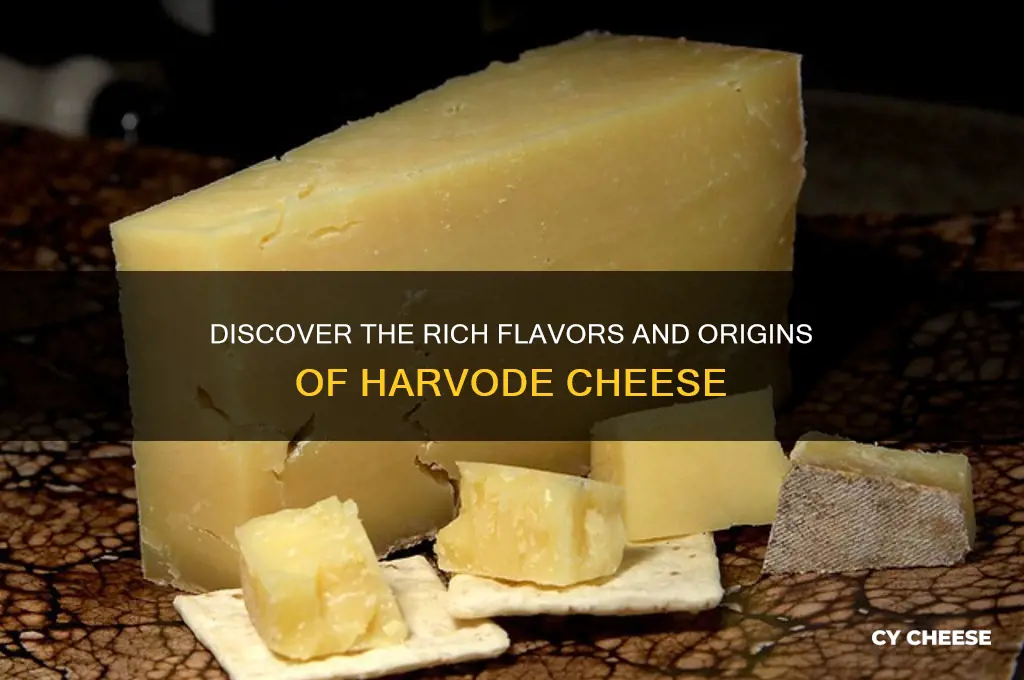 what is harvode cheese