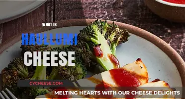 Discover Halloumi Cheese: Origin, Texture, Flavor, and Cooking Tips