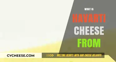 Discovering Havarti Cheese: Origins, Production, and Unique Characteristics