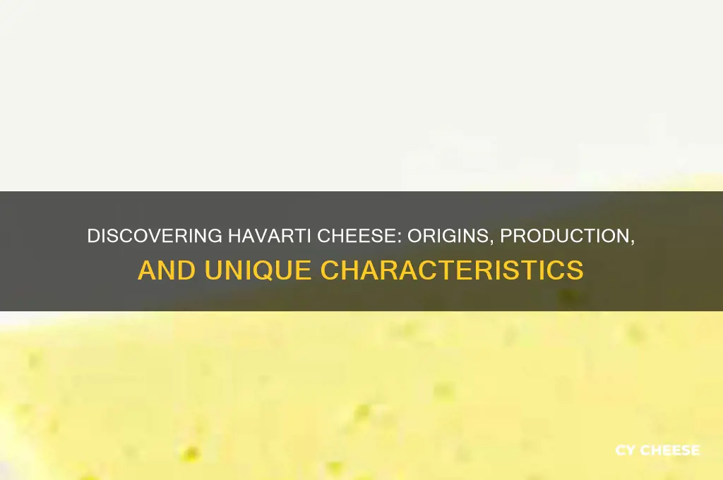 what is havarti cheese from