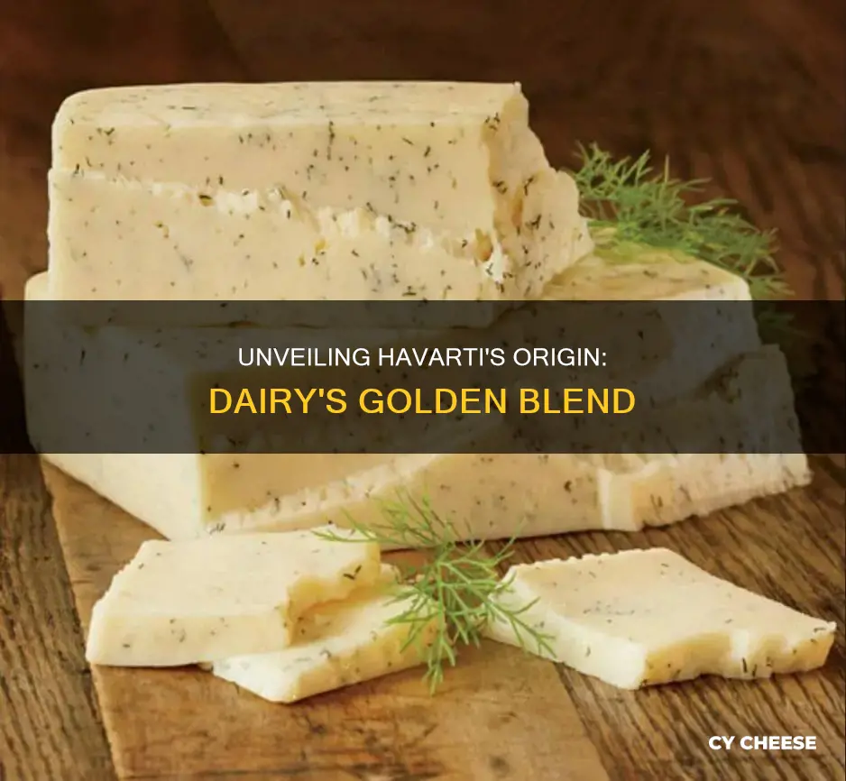 what is havarti cheese made from