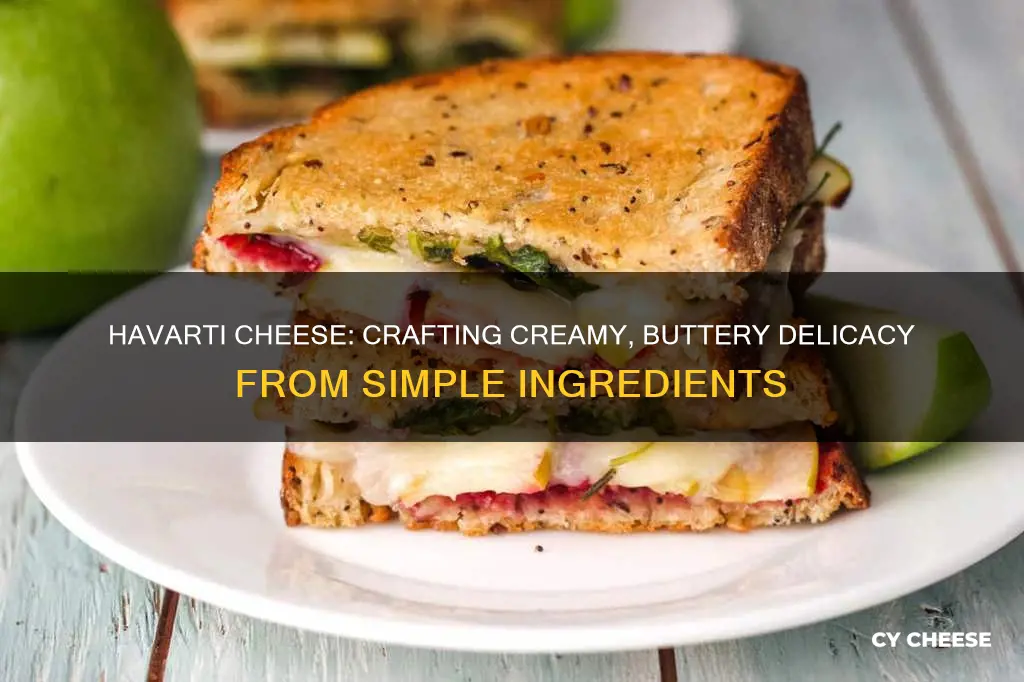 what is havarti cheese made from